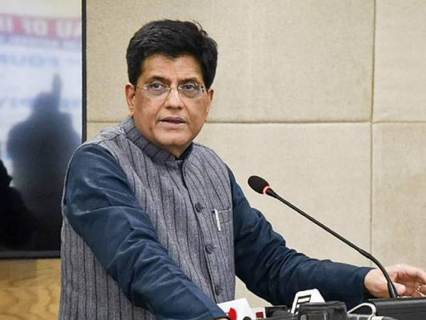 Despite the challenges, India will continue to be a bright spot in the world, Goyal said